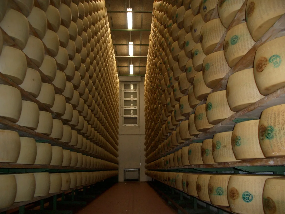 Bodenhohe Regale mit reifenden Parmigiano-Reggiano-Laiben in einem Käserei-Laden