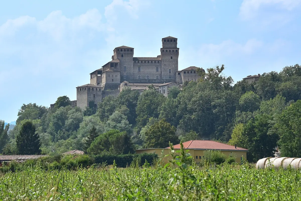 Burg Torrechiara auf ihrem bewaldeten Hügel, gesehen von den Feldern darunter