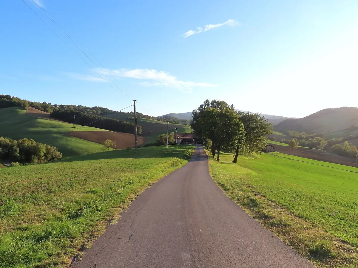 Country lane through green meadows and wooded hills near Langhirano