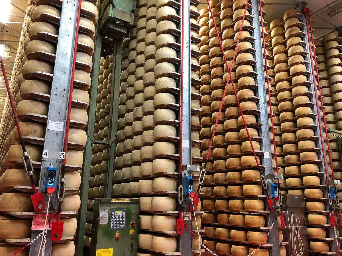 Hohe Regale mit Parmigiano Reggiano Rädern und automatischen Wendern in einem Käsereiladen