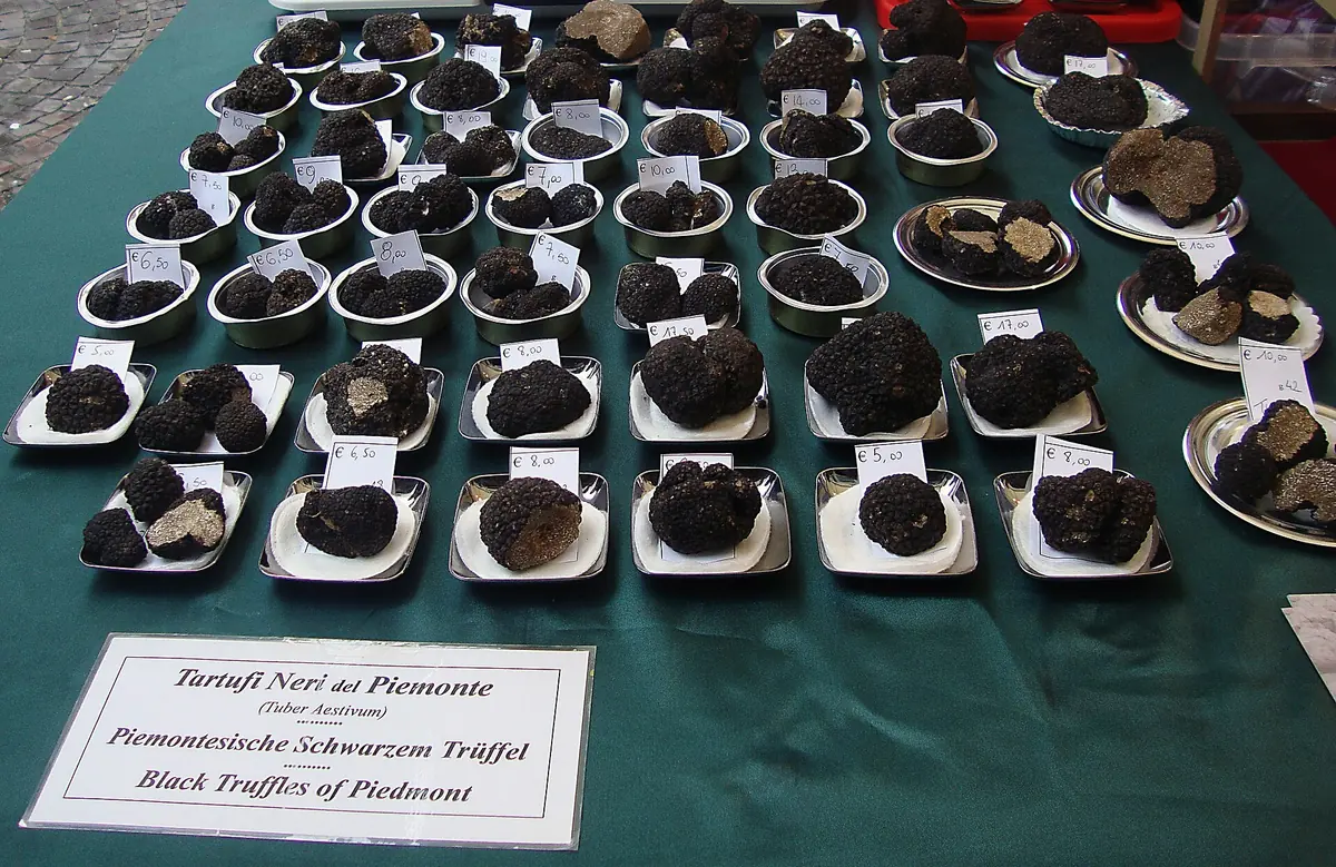 Schalen mit schwarzen Trüffeln und Preisschildern auf einem grünen Tuch auf einer Trüffelmesse