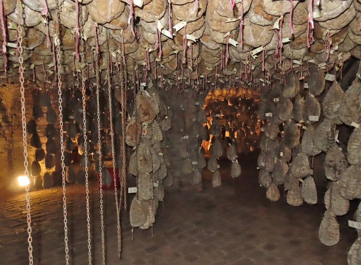 Hunderte Culatelli, die in den Ziegelgewölben der Antica Corte Pallavicina reifen