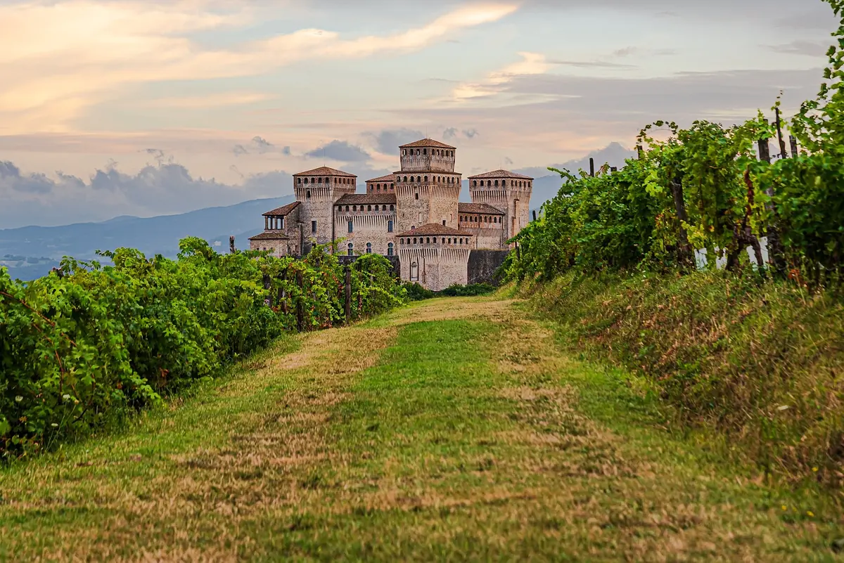 Weinreihen in den Hügeln von Parma mit Blick auf die Burg Torrechiara in der Dämmerung