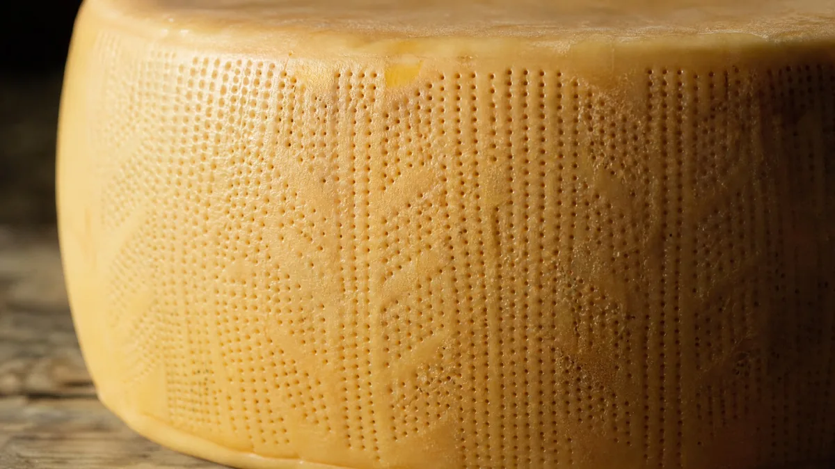 Close-up of the dotted pattern on the rind of an aged cheese wheel