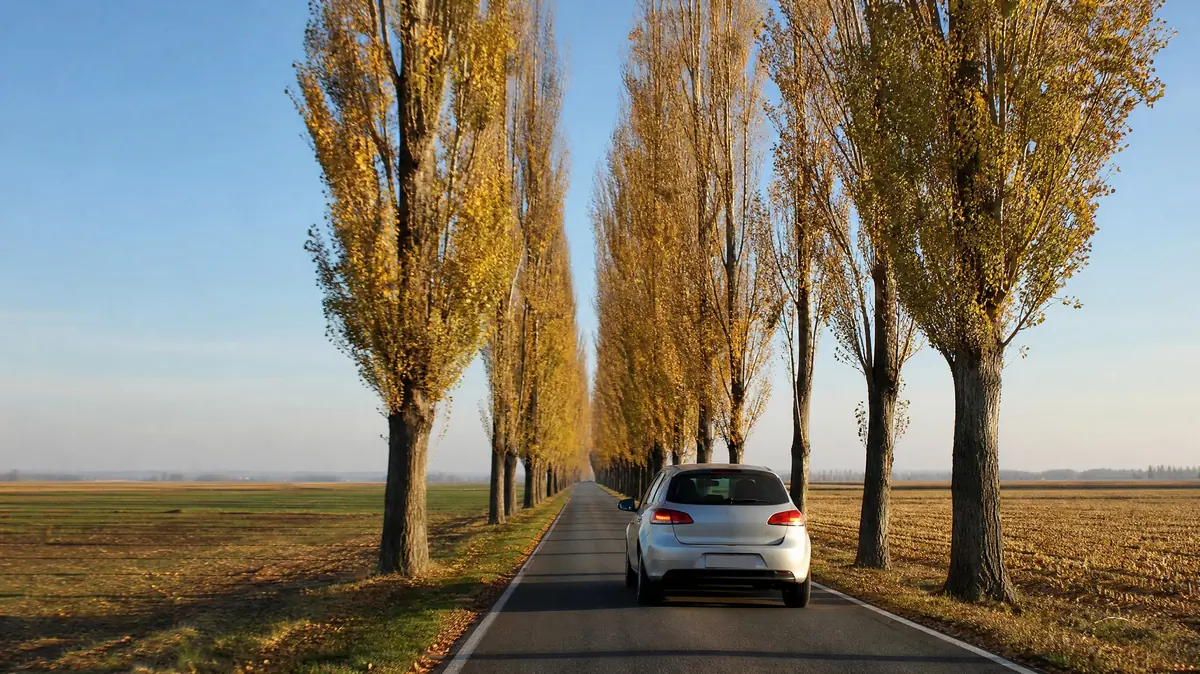 Kleines Auto auf einer geraden Landstraße, gesäumt von Pappeln