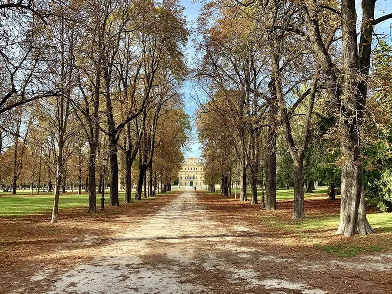Tree-lined avenue in the Parco Ducale leading to the Palazzo del Giardino in autumn